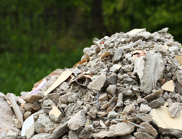 Reliable Construction Debris Removal Service in Ruskin FL